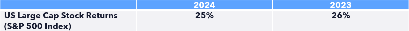 US Large Cap Stock Returns (S&P 500 Index) 2024 vs 2025