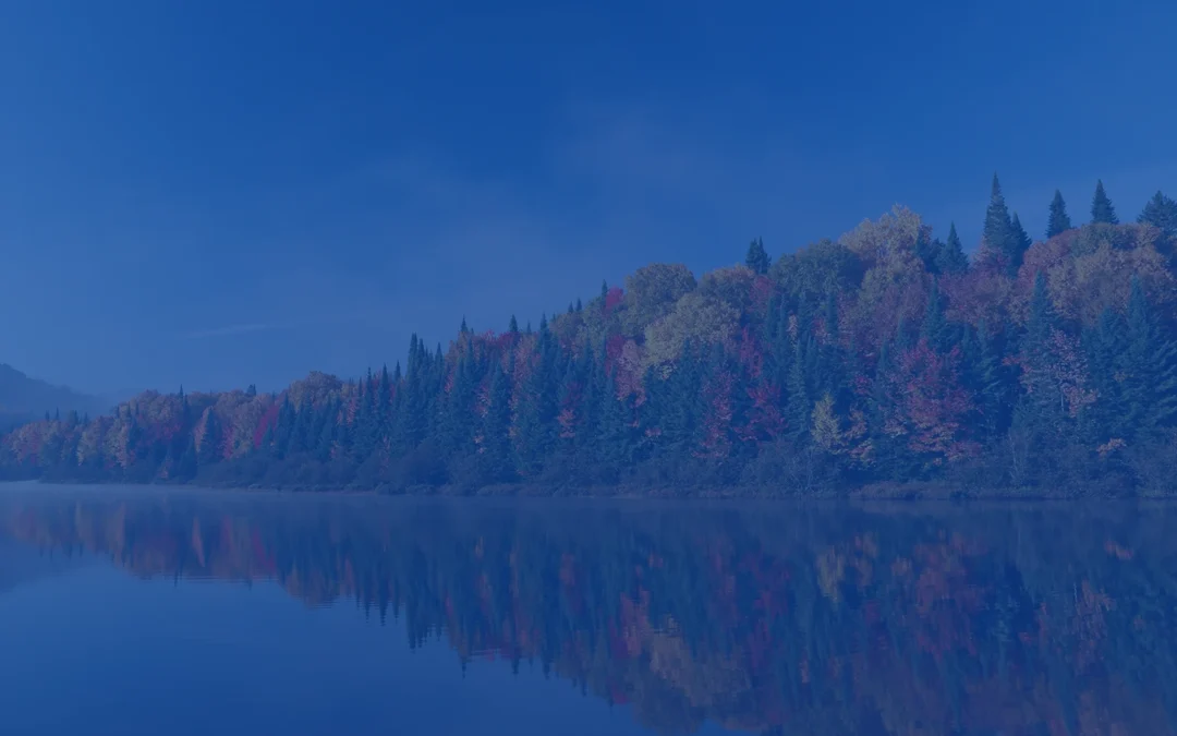 Global Market Commentary December 2025