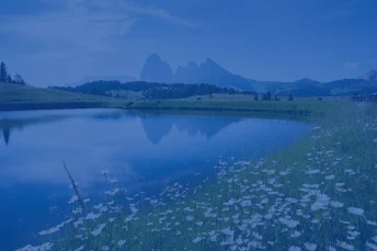 its_all_about_the_context-how_framing_impacts_our_investment_choices