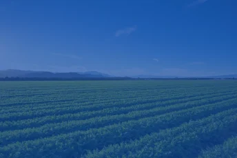 new-director-of-organic-growth-2024