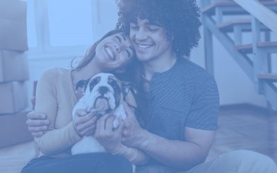Finance Cost of Owning a Pet