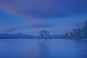 Global Market Commentary 2026